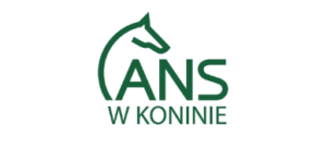 Akademia Nauk Stosowanych w&nbsp;Koninie